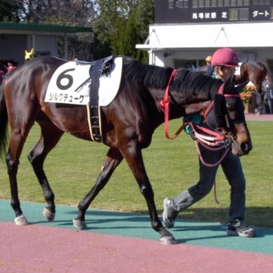 １２／９中京６Ｒ３歳上５００万下