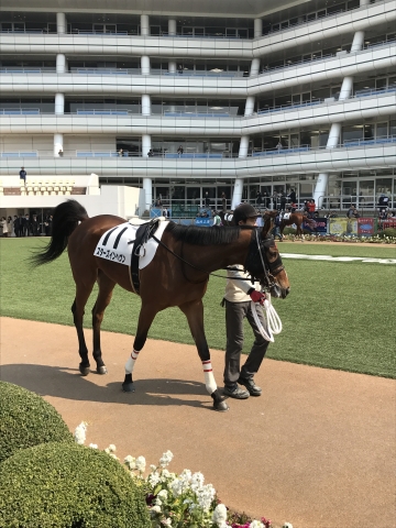 パドック2 スターズインヘヴン