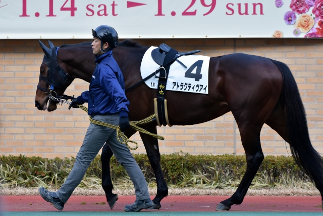 パドック② アトラクティヴアイ