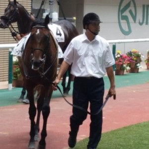 2016/7/24 福島2歳新馬戦