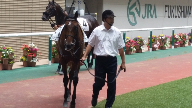 2016/7/24 福島2歳新馬戦② ジェードグリーン