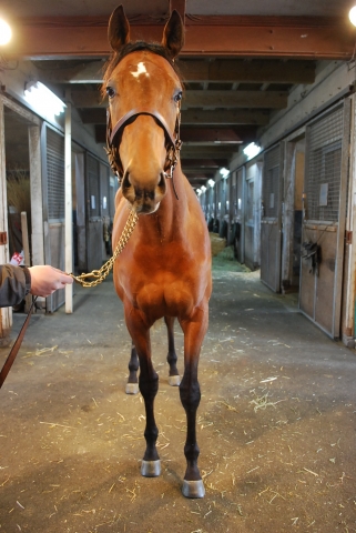 ＮＦ空港にて ジェードグリーン