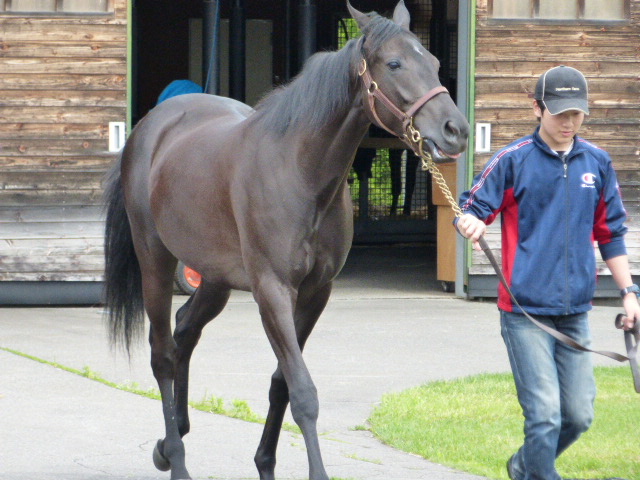 ＮＦ早来　見学３ アロマドゥルセ