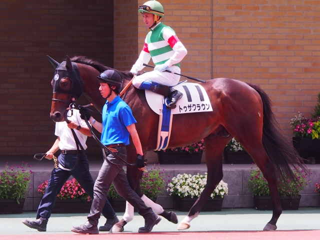 中京未勝利時　パドック トゥザクラウン