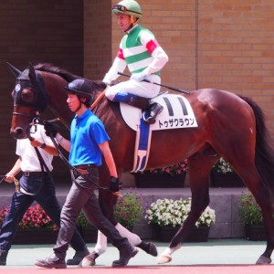 中京未勝利時　パドック