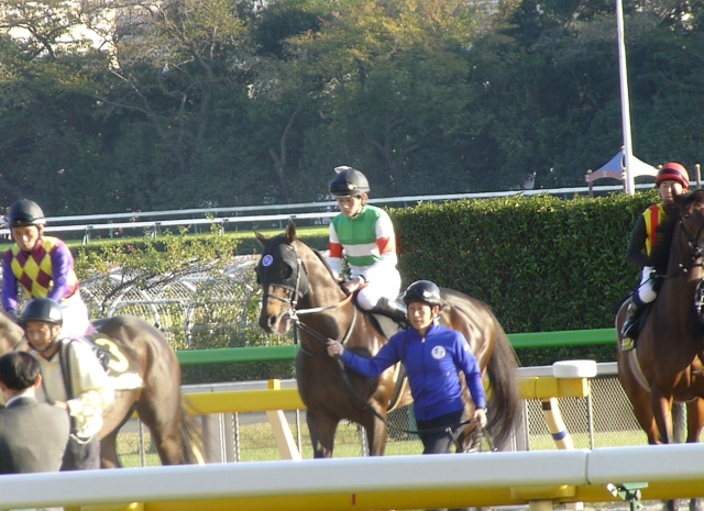 本馬場入場 トゥザクラウン