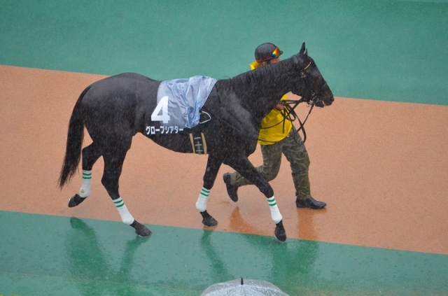 パドック グローブシアター