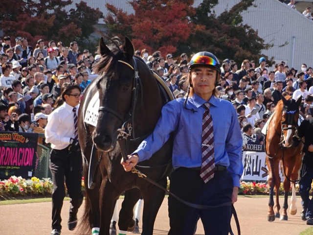 新馬戦パドック② グローブシアター