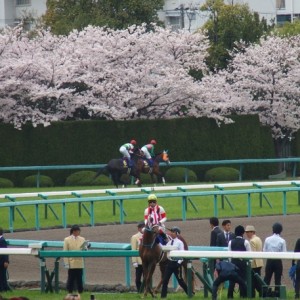 桜花賞 返し馬