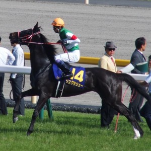 優駿牝馬本馬場入場