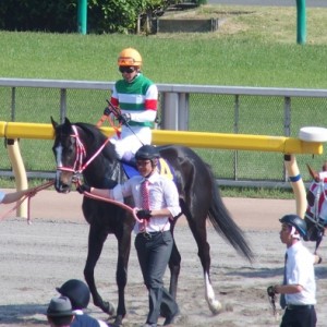 優駿牝馬本馬場入場