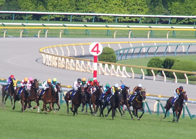 優駿牝馬直線 リスグラシュー