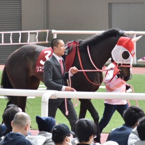 阪神牝馬Ｓパドック