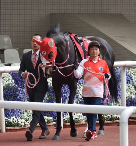 阪神牝馬Ｓパドック リスグラシュー