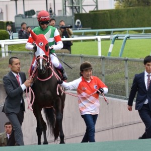 阪神牝馬Ｓ本馬場入場