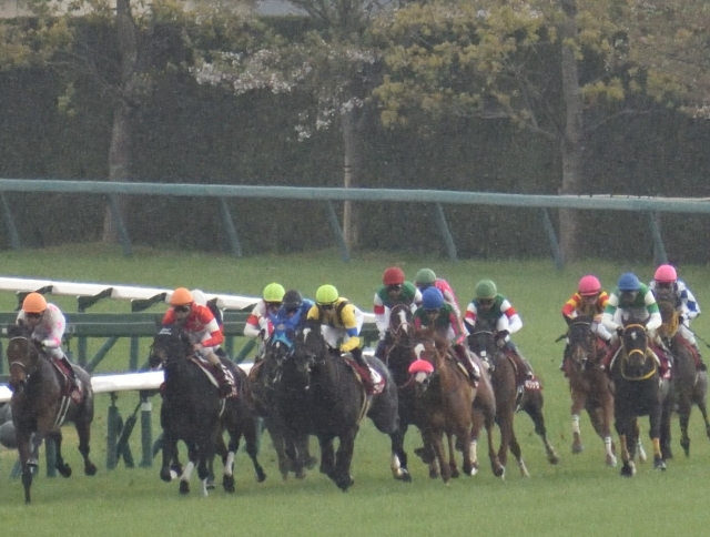 阪神牝馬Ｓ第四コーナー リスグラシュー