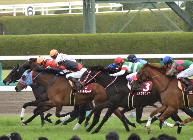 阪神牝馬Ｓ直線 リスグラシュー