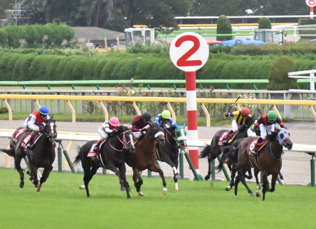 府中牝馬S直線1 リスグラシュー