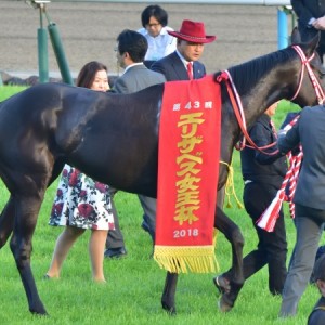 エリザベス女王杯優勝レイ