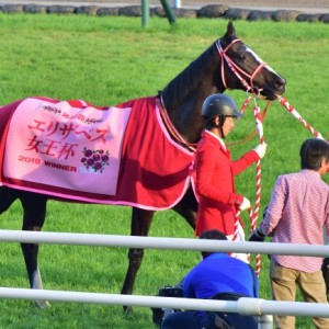 エリザベス女王杯優勝馬服1