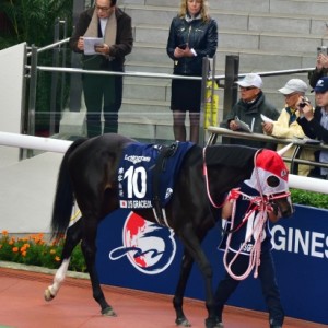 香港ヴァーズパドック1