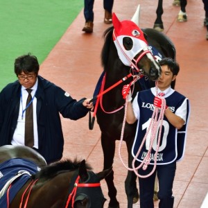 香港ヴァーズパドック2