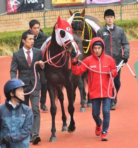 金鯱賞パドック2 リスグラシュー