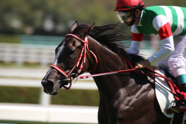 持ったまま リスグラシュー