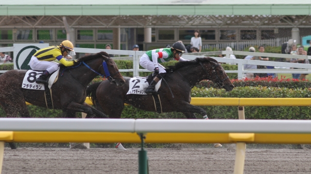 ３歳上１勝Ｃ シェアザモーメント