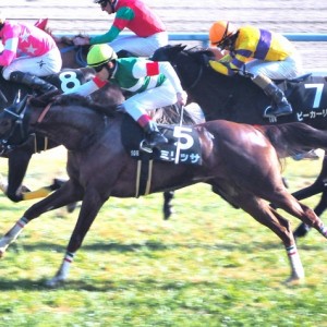 エルフィンS　直線