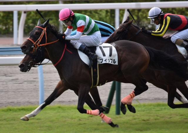 初勝利！ フィップル
