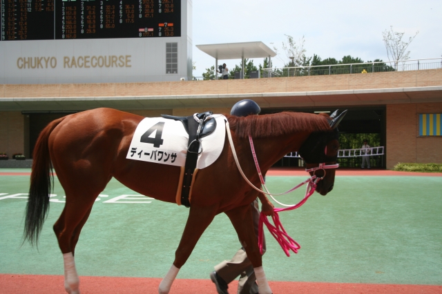 新馬戦パドック ディーパワンサ