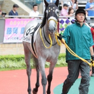 クルークハイト　メイクデビューパドック