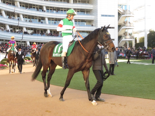 京成杯 ガンサリュート