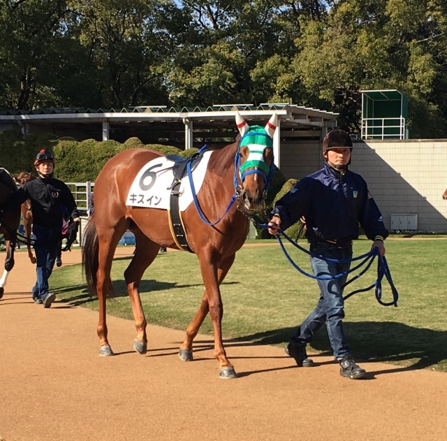 新馬戦パドック キスイン