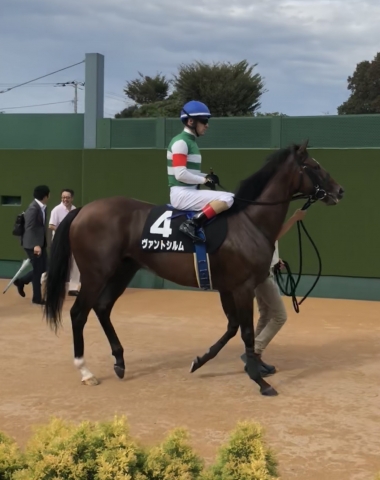 本馬場入場直前 ヴァントシルム