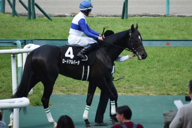 入場 ロードアルバータ