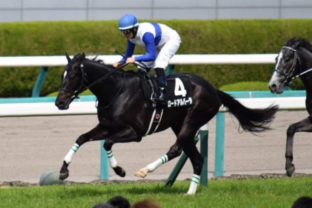 レース ロードアルバータ