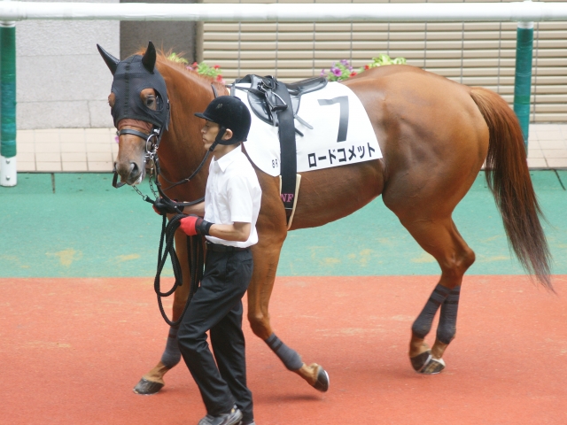 18戦目パドック ロードコメット