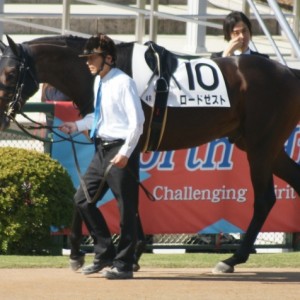 ２歳未勝利戦パドック(３戦目)