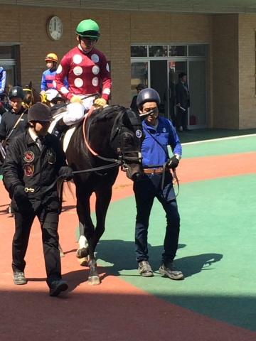 パドックにて キングディグニティ