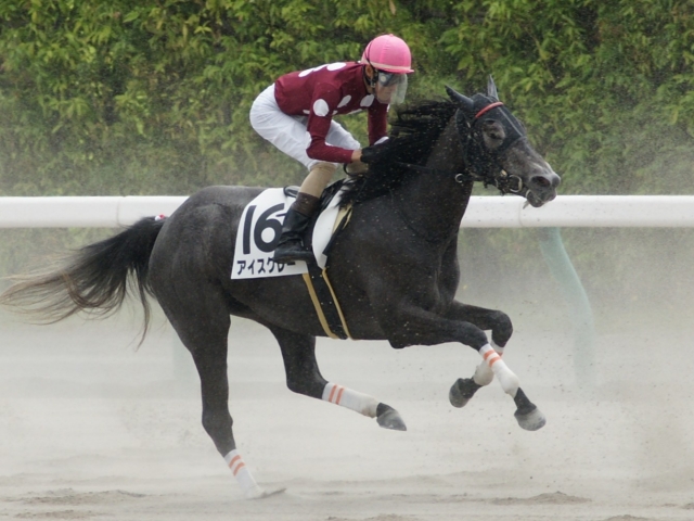 ２戦目レース中 アイスグレー