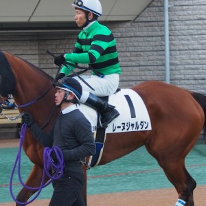 東京500万下2着時パドック３