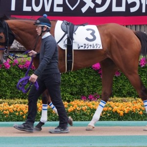 東京500万下　パドック１