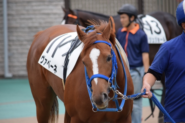 新馬戦 ヴァベーネ
