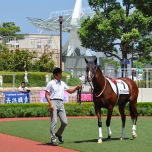 8月20日　小倉５R　メイクデビュー芝1200