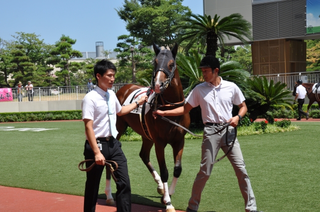 8月20日　小倉５R　メイクデビュー芝1200 ファンタジステラ