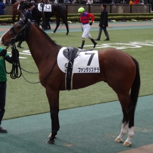 500万下 パドック