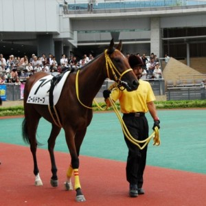 7月23日　中京1R　2歳未勝利　芝1600