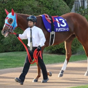 2018/11/4 京都12R JBCレディスクラシック